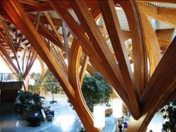 Madeira Laminada Colada